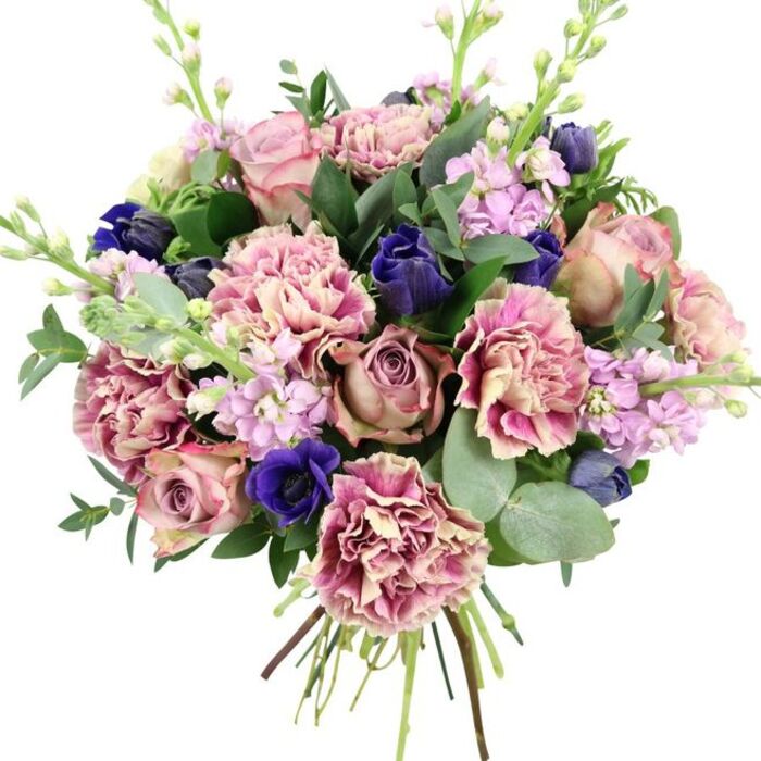 A richly detailed floral bouquet fills this image, hand-tied and presented against a clean white background that highlights every nuance of colour and form, as if styled for a photoshoot in a bright Dulwich studio. At the centre, several generous garden roses bloom in shades of dusty rose, blush pink, and soft mauve, their layered petals curling outwards in graceful spirals and setting a romantic, almost vintage tone. Interwoven among them are frilled carnations, each one displaying a delicate gradient from creamy, almost ivory centres to blush pink and deeper rose along their ruffled fringes, creating both volume and tactile interest. Breaking through the gentle pastels are bold notes of deep indigo and royal blue, with compact, tulip-like buds and a striking open anemone whose dark, inky centre anchors the colour palette and draws focus. Slender stems of lilac and pale lavender stock emerge through the arrangement, their dense clusters of tiny blossoms adding a lighter purple haze and soft vertical movement. The composition is enriched by an abundance of greenery: dark, glossy leaves, likely from the roses, combine with pliant sprays of rounded, silvery-green eucalyptus, shaping the bouquet and introducing a hint of cool, aromatic freshness. At the base, the stems are gathered visibly and tied, showcasing the handmade craftsmanship you'd expect from a local Dulwich florist. The mood is elegant and versatile, making this design ideal for weddings, anniversaries, or spring celebrations along Lordship Lane, as well as for sending a thoughtful, uplifting bouquet to homes near Dulwich Park or North Dulwich station.