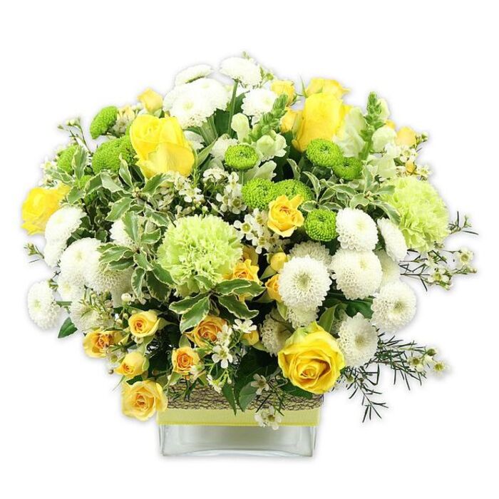 A lush, rounded floral display in tones of golden yellow, pure white, and vibrant green fills a low, rectangular glass vase, its careful, dome-like silhouette suggesting the work of an experienced local florist familiar with the relaxed elegance of Dulwich homes. Central to the arrangement are yellow roses, some at full bloom with generous, velvety petals spiralling outward, others still slightly cupped in bud form, their gradual opening symbolising unfolding joy. Tucked among them are smaller yellow spray roses whose numerous petite blossoms add an intricate layer of colour and texture, making the bouquet feel rich and abundant. White pompom chrysanthemums, neatly spherical and densely petaled, create soft mounds of brightness that offset the warm yellows. Intermingled throughout are vivid lime green button chrysanthemums-tiny, perfectly round blooms that punctuate the arrangement with a lively, contemporary freshness-and larger, frilled pale green flowers reminiscent of green carnations or decorative mums, which lend a gentle, ruffled softness. The composition is thoroughly framed and filled with greenery: broad variegated leaves edged in pale cream, glossy dark-green foliage, and finer, airy sprigs of deep-green filler that weave between the blooms, ensuring that each flower is distinct yet part of a cohesive whole. Delicate white filler flowers, each like a miniature star with fine petals, are scattered across the bouquet, catching the eye and adding an almost sparkling quality. The clear glass vase reveals the stems arranged in orderly fashion and is wrapped around its midsection with a rustic, tactile band of woven natural fibre or bark, topped with a crisp lime green ribbon that mirrors the bright green blooms. The overall effect is fresh, joyful, and refined, making this design perfect for celebrations, new home gifts, or as a cheerful centerpiece for gatherings in Dulwich, from West Dulwich terraces to homes overlooking Dulwich Park.